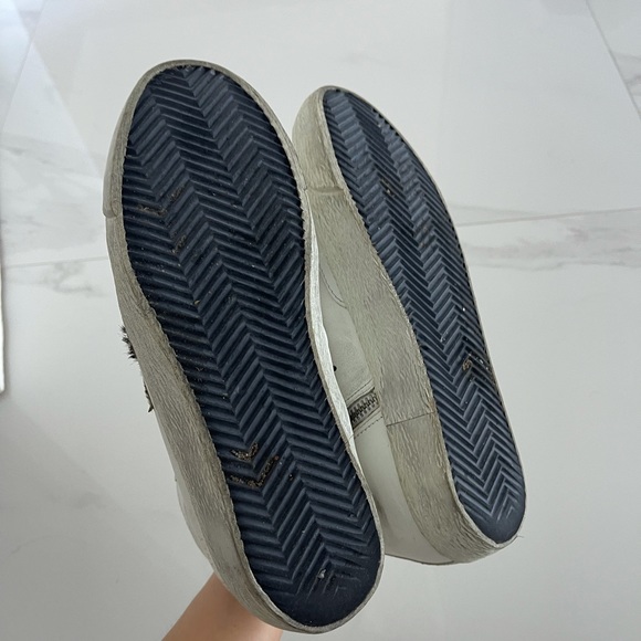 - Golden goose zebra - Picture 8 of 8